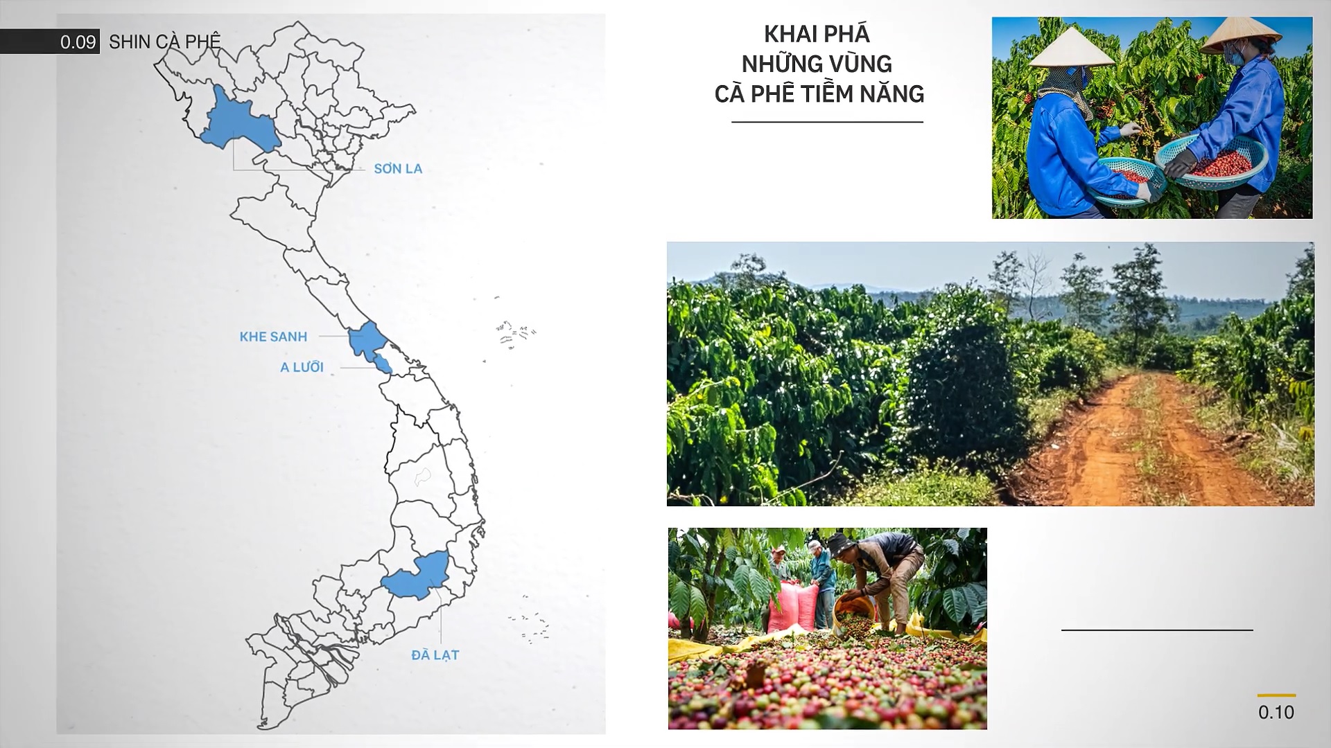 Hành trình khai phá Cà Phê SHIN